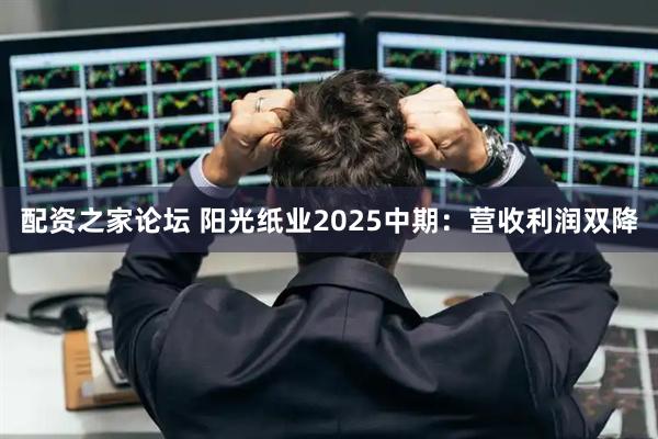 配资之家论坛 阳光纸业2025中期:营收利润双降