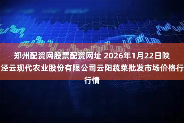 郑州配资网股票配资网址 2026年1月22日陕西泾云现代农业股份有限公司云阳蔬菜批发市场价格行情