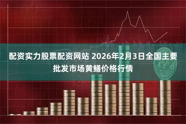 配资实力股票配资网站 2026年2月3日全国主要批发市场黄鳝价格行情