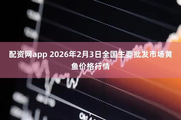 配资网app 2026年2月3日全国主要批发市场黄鱼价格行情