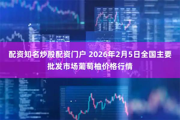 配资知名炒股配资门户 2026年2月5日全国主要批发市场葡萄柚价格行情