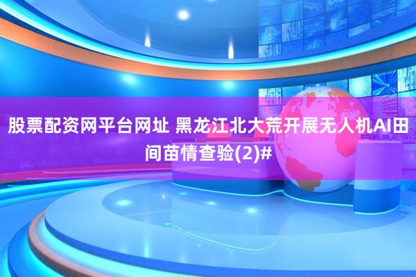 股票配资网平台网址 黑龙江北大荒开展无人机AI田间苗情查验(2)#